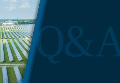 Field of solar panels